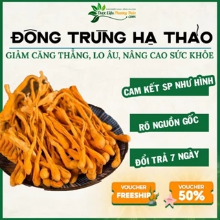 [Xuất khẩu] Đông Trùng Hạ Thảo Việt Nam hàng dược chất cao, nuôi trồng 70 ngày-Dược Liệu Phương Thảo