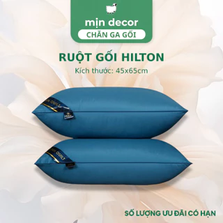 Ruột gối nằm Pillow mềm mại, ruột gối hơi cao cấp nhập khẩu kích cỡ 45x65cm Mịn Decor