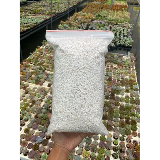 Đá perlite - đá bọt trộn đất siêu thoát nước