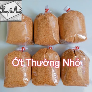 {Túi 500gr} Muối ớt Tây Ninh Ngọc Châu loại thường hột nhỏ (chay)