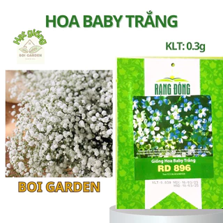 Hạt Giống Hoa Baby Trắng (194)