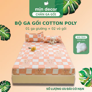 Bộ Ga Gối Cotton Poly In 3D Mịn Decor, Drap Giường 2 Áo Gối Dễ Thương Bo Chun Đệm 10cm