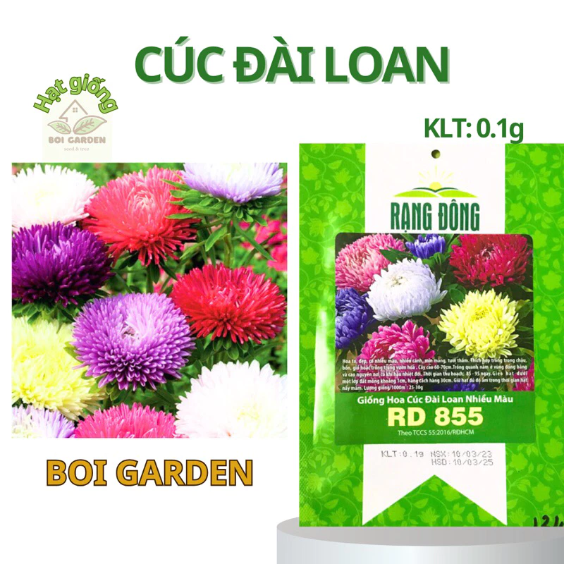 Hạt Giống Hoa Cúc Đài Loan RD (209)