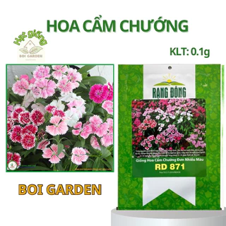 Hạt giống hoa Cẩm Chướng nhiều màu (195)