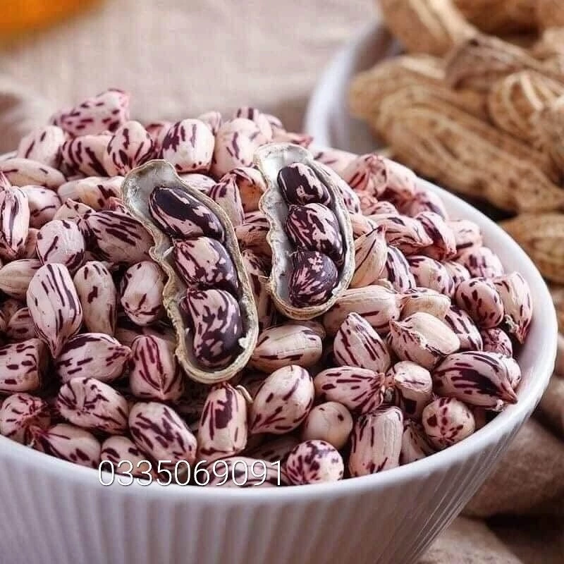 1kg lạc hoa mèo mường khương, lạc vằn, lạc màu sắc [ túi hút chân không]