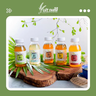 Trà bất tử - Trà Kombucha LIGH 250ml Mix 5 vị