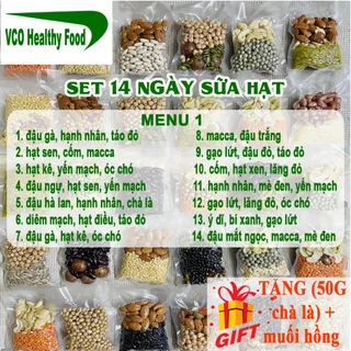 Set Hạt dinh dưỡng làm sữa - Mix Sẵn gói mini [TẶNG CHÀ LÀ+MUỐI HỒNG] túi 50g nấu 500-800ml sữa