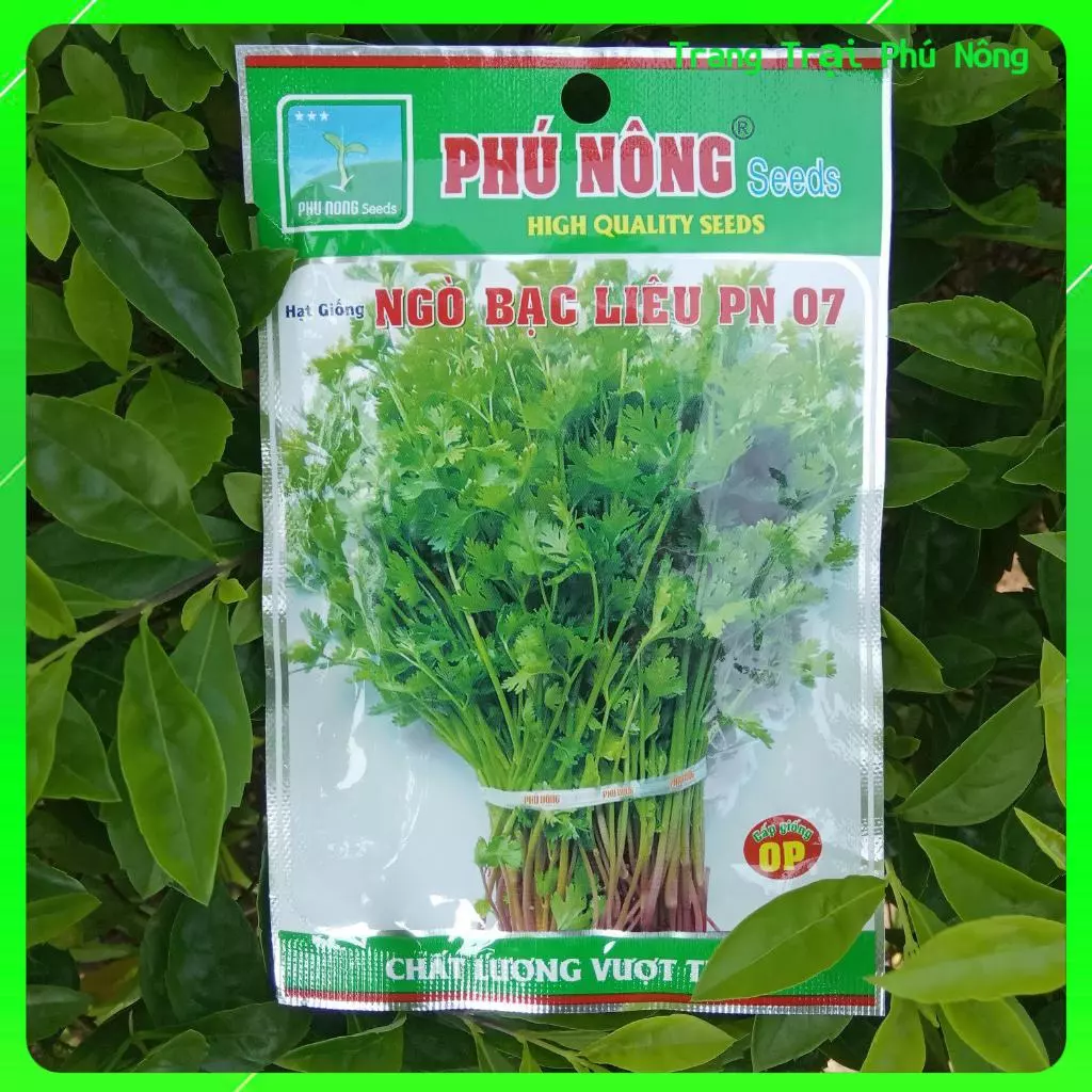 Hạt giống Ngò Bạc Liêu Phú Nông- Gói 20g - Coriander Bac Lieu