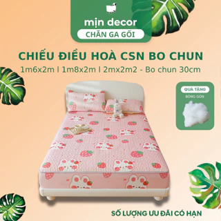 Chiếu Điều Hoà Bọc Đệm Cao Su Non Mịn Decor Mềm Mát Đủ Size 1m6 1m8 2m2 Bo Chun 30cm - Nhiều Hoạ Tiết Trending 2024