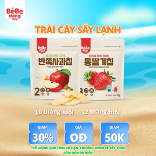 Trái cây sấy lạnh ăn dặm cho bé BeBedang nhiều hương vị 15g