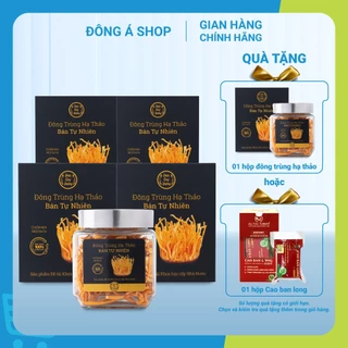 Đông Trùng Hạ Thảo bán tự nhiên Dược Quý Đường-  Hỗ trợ bồi bổ cơ thể, bổ phế, ích gan thận - Combo đông trùng sấy khô