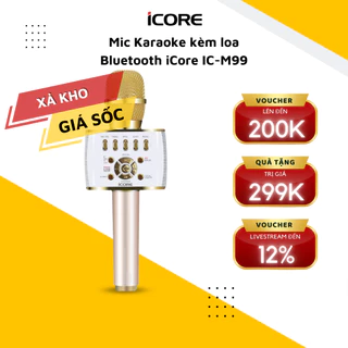 Micro kèm loa bluetooth iCore IC-M99