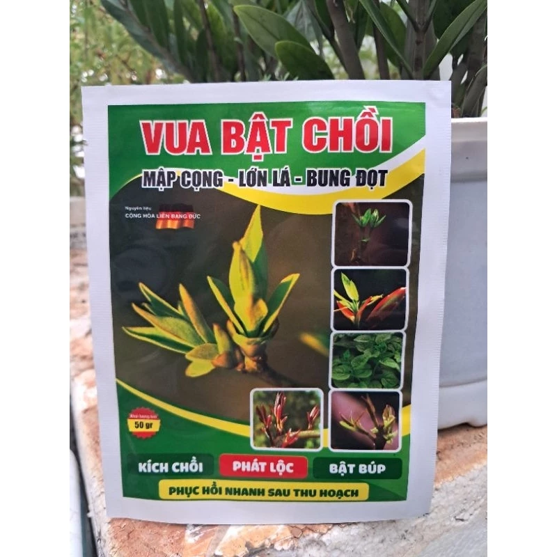 Vua Bật Chồi kích chồi bật lộc gói 50gr