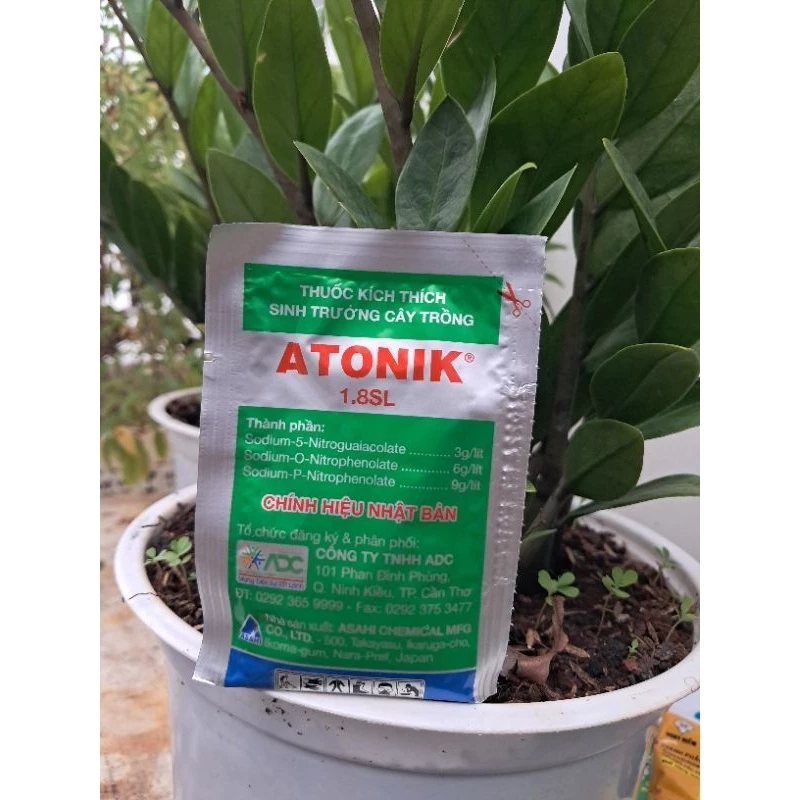 Antonic phân bón lá.thuốc kích thích cây trồng