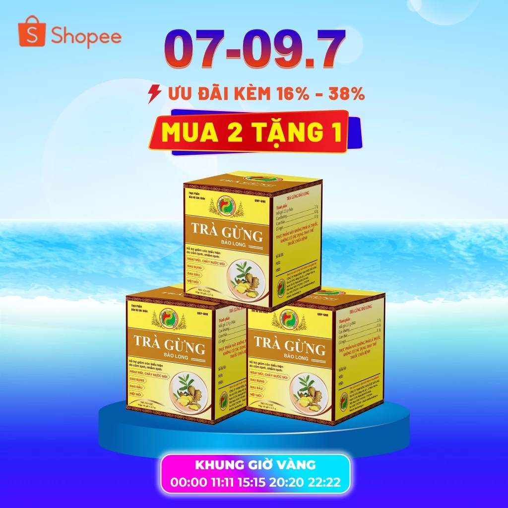 (Quà Tặng) (Mua 2 Tặng 1 Quà Cùng Loại) Trà Gừng Thực Phẩm Bảo Vệ Tăng Cường Sức Khỏe Bảo Long - Hàng Chính Hãng