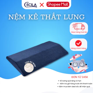 Đệm kê thắt lưng CECILA, Thiết kế chuyên biệt giảm đau thoát vị đĩa đệm, đau mỏi lưng, Ruột cao su non cao cấp