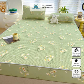 Chiếu điều hòa bo chun cao su non tencel latex cao cấp đủ size 1m6 1m8 2m - Otama Bedding 2