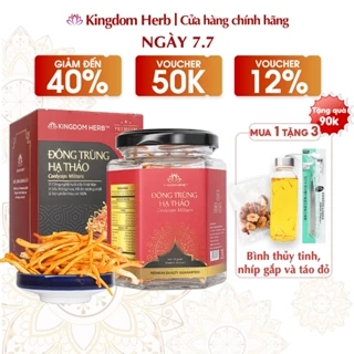 Đông trùng hạ thảo Kingdom Herb chính hãng loại thượng hạng sấy thăng hoa hộp 10g