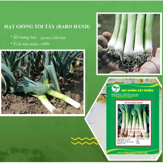 Hạt Giống Hành Baro - Tỏi Tây 1gr - DC