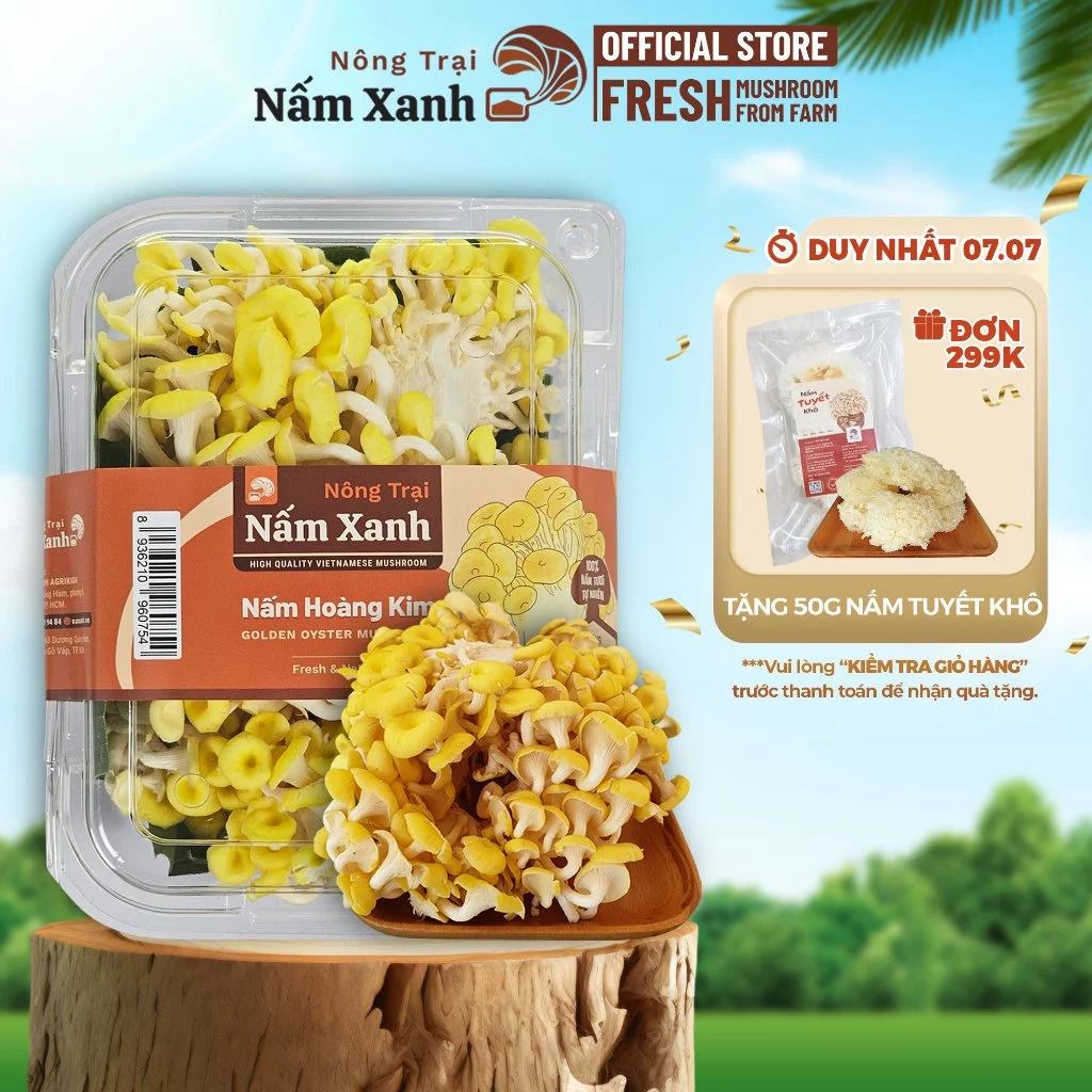 [HCM] Nấm Hoàng Kim Tươi 500gr 1kg (Nấm Ngô Vàng Tươi) Sạch Thơm Ngon - Nông Trại Nấm Xanh