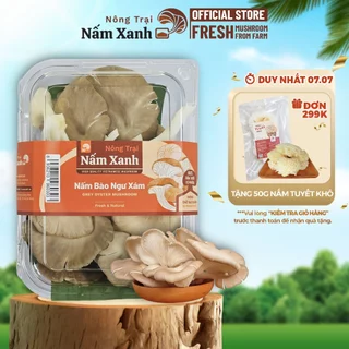 [Hỏa Tốc HCM] 1kg Nấm Bào Ngư Xám Tươi Ngon Dày Ngọt Sạch Thanh Đạm - Nông Trại Nấm Xanh