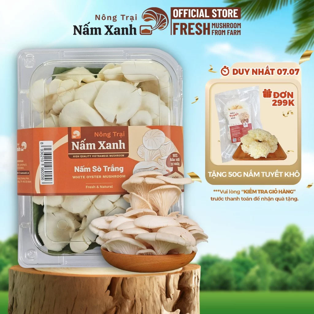 [Hỏa Tốc HCM] Nấm Sò Trắng Tươi 100gr 200gr 500gr Ngon Thanh Đạm - Nông Trại Nấm Xanh