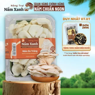 [HCM] Nấm Sò Trắng Tươi 500gr 1kg Thơm Ngon Giàu Dinh Dưỡng - Nấm Xanh