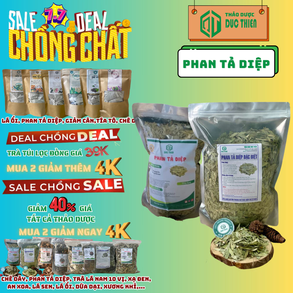 100g, 250g, 500g Phan Tả Diệp Loại 1 Đức Thiện (Khô, Sạch, Thơm) - Tốt Cho Tiêu Hóa - Y Học Cổ Truyền Khuyên Dùng