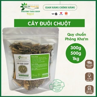 Cây Đuôi Chuột túi 1kg Quy chuẩn chất lượng Phòng Khám giúp thanh nhiệt, hỗ trợ các bệnh tim mạch