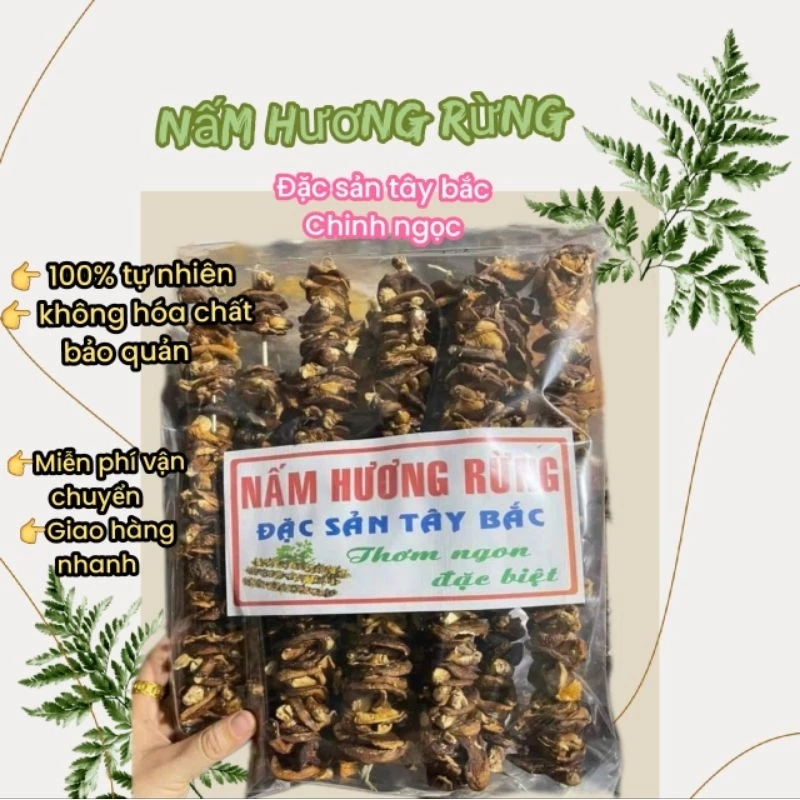 Nấm hương rừng khô - nấm hương xiên. loại 1 thơm nức