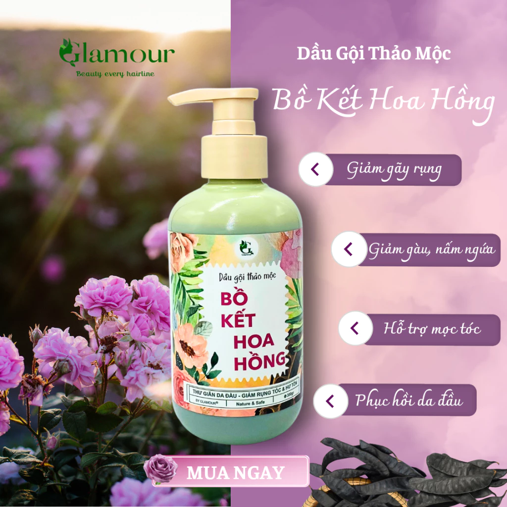 Dầu Gội Bồ Kết Hoa Hồng cô đặc Glamour chai 500gr, dầu gội thảo mộc ngăn ngừa rụng tóc, làm sạch gàu