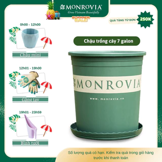 Chậu trồng cây MONROVIA 7 Gallon cây cảnh mini, trồng rau, hoa, để bàn, treo ban công, nhập khẩu Châu Âu