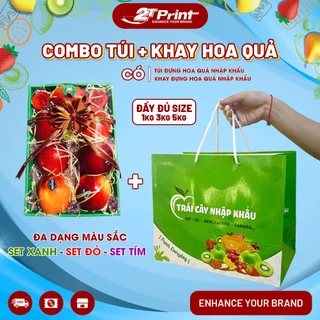 Combo Quà Biếu Gồm Túi Giấy Đựng Hoa Quả Nhập Khẩu Kèm Khay Sang Trọng Dành Cho Các Dịp Lễ Tết Và Cửa Hàng Hoa Quả