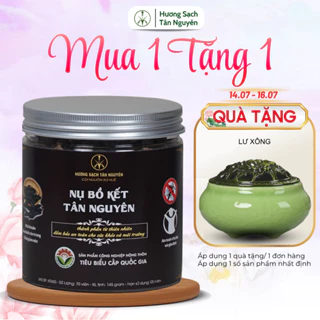 Nụ bồ kết Tân Nguyên, bồ kết xông nhà, nụ đuổi muỗi hộp 70 viên xông nhà kháng khuẩn, thanh lọc khí