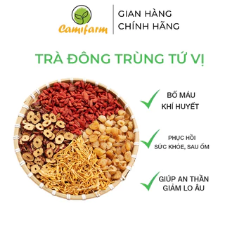 Trà Đông Trùng Tứ Vị Camifarm giúp an thần, tăng cường sức khoẻ