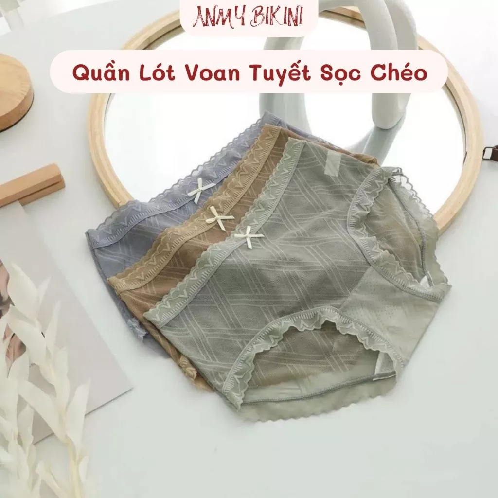 Quần Lót Nữ Voan Tuyết, Set 5 Quần Lót Sọc Chéo Tiểu Thư Cao Cấp Siêu Nhẹ Co GIãn 4 Chiều Kháng Khuẩn - QL 277