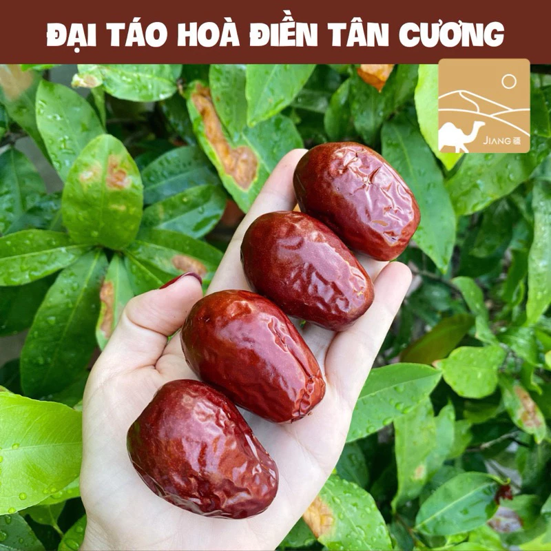 Táo Đỏ Hòa Điền Tân Cương VIP – Size 70–80 Quả/Kg – Loại Thượng Hạng