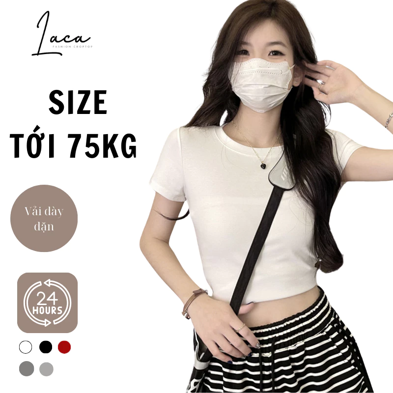 Áo Croptop Ngắn Tay Cổ Tròn Basic - Vải Thun Trơn Dày Co Giãn Thoáng Mát, Ôm Body Sexy, Cá Tính B3-1