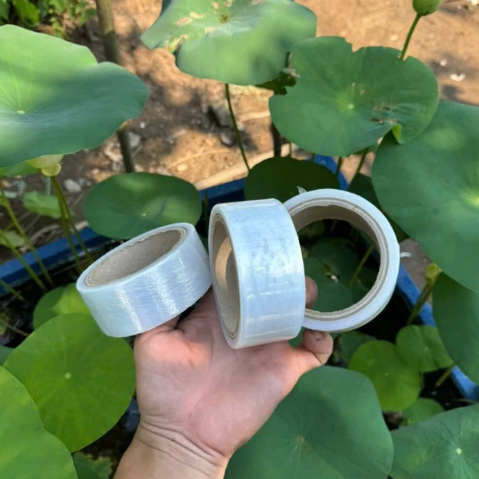 Nilon Ghép Cây Tự Hủy Rộng 3cm - BĂNG KEO GHÉP CÂY GIÚP BẢO VỆ MỐI GHÉP-BĂNG GHÉP CÂY , DÂY QUẤN MỐI GHÉP