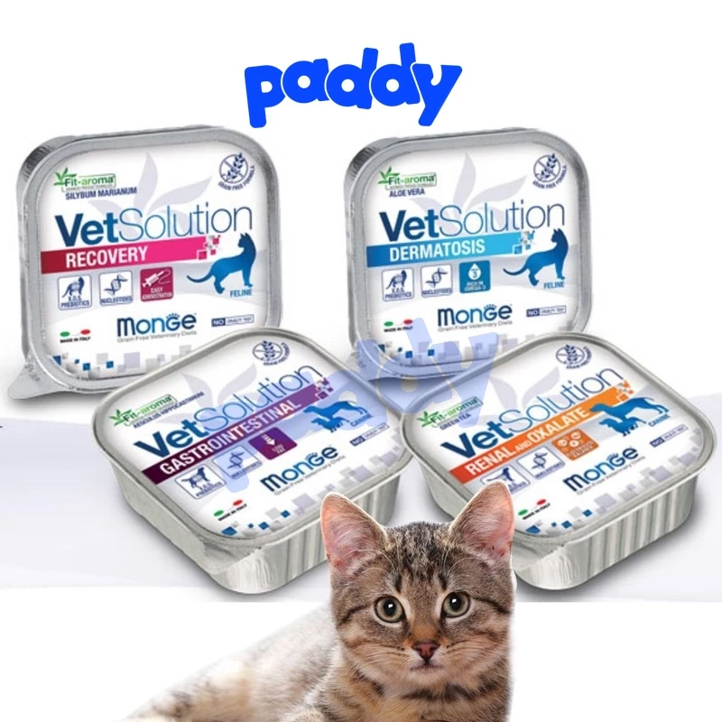 Pate MÈO Monge Vet Solution Chăm Sóc Sức Khỏe 100g