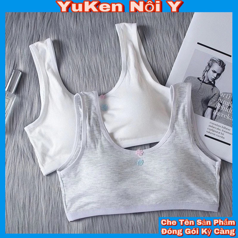 💟Áo Lót Học Sinh Cài Sau Cho Bé Gái💟Đệm Mỏng[35kg~50kg] Áo Lót Coton Học Sinh 3 Móc Cài Co Giản Tốt