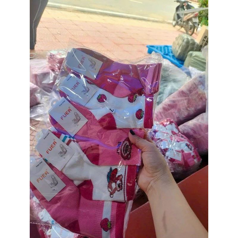 Set 5 đôi tất, vớ cổ cao họa tiết Kuromi, Melody, Capybara, Gấu dâu cho bé từ 1 đến 12 tuổi 🌌FREESHIp🌌