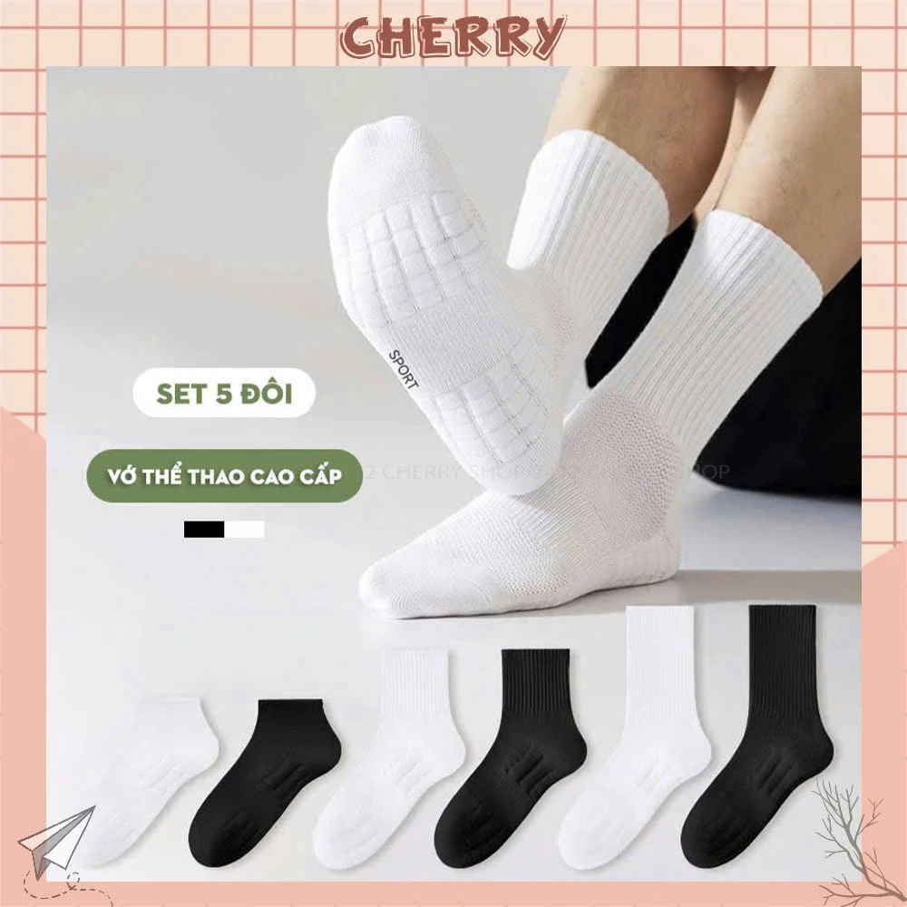 Tất nam cao cấp set 5 đôi chất liệu cotton co dãn thấm hút mồ hôi chân - Cherry shop