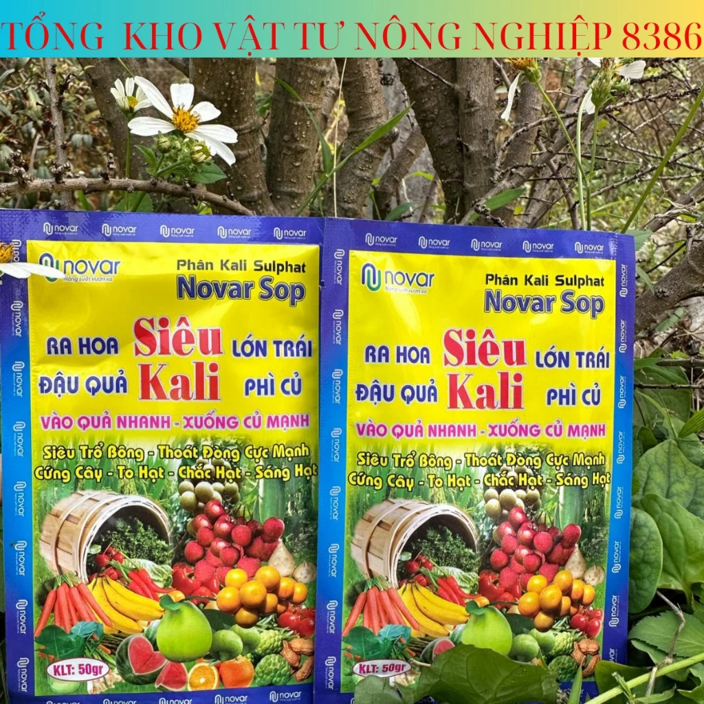 Phân Bón Siêu Kali Gói 50g Giúp Cây Siêu Ra Hoa, Đậu Quả, Chống Rụng Hoa Và Trái Non, Siêu To Trái, Ngọt Trái, Chắc Quả
