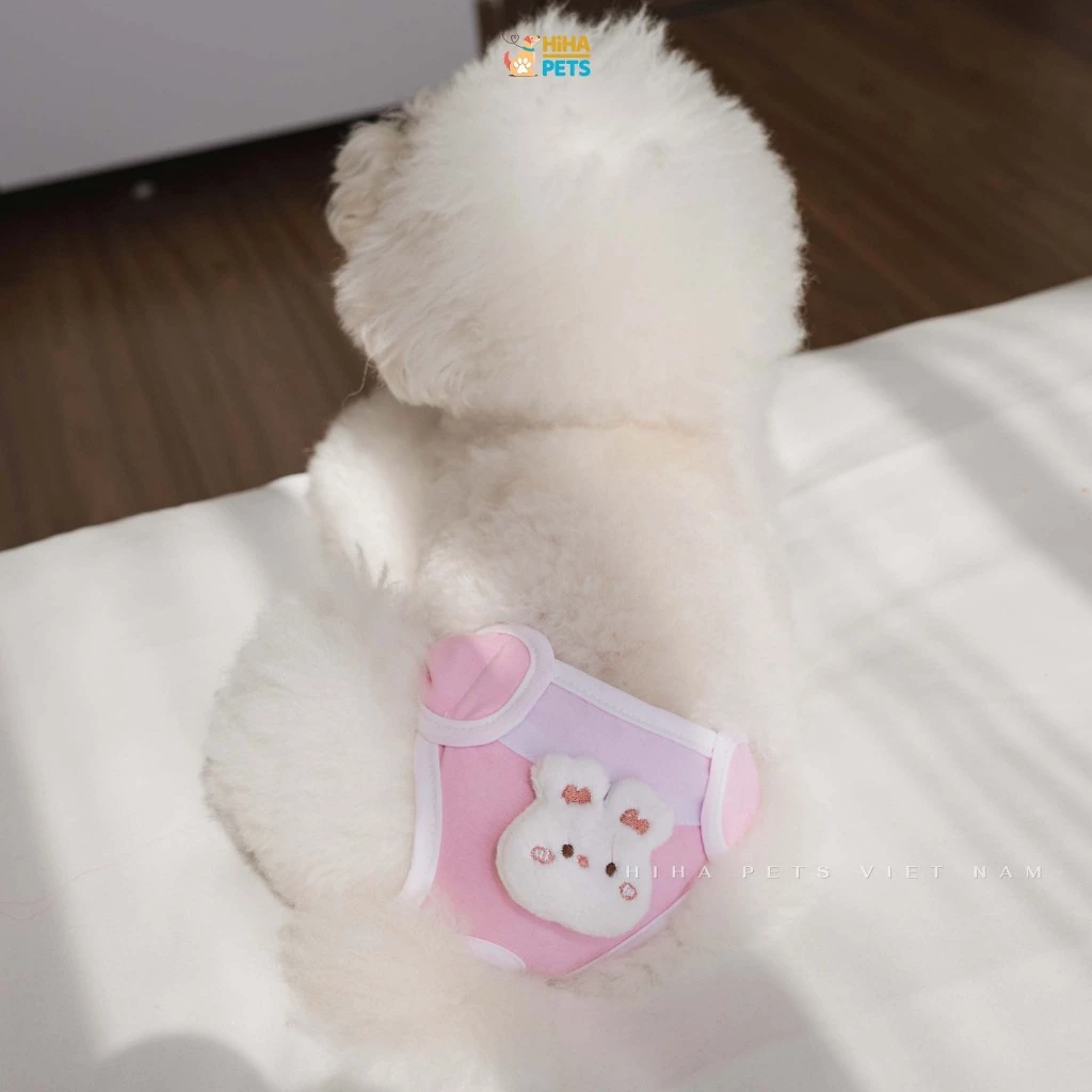 Tả Lót Cho Chó, Tã Quần Gấu, Hoa Tulip Cho Chó Cái, Chip Cho Thú Cưng Những Ngày Rụng Dâu Hiha Pets