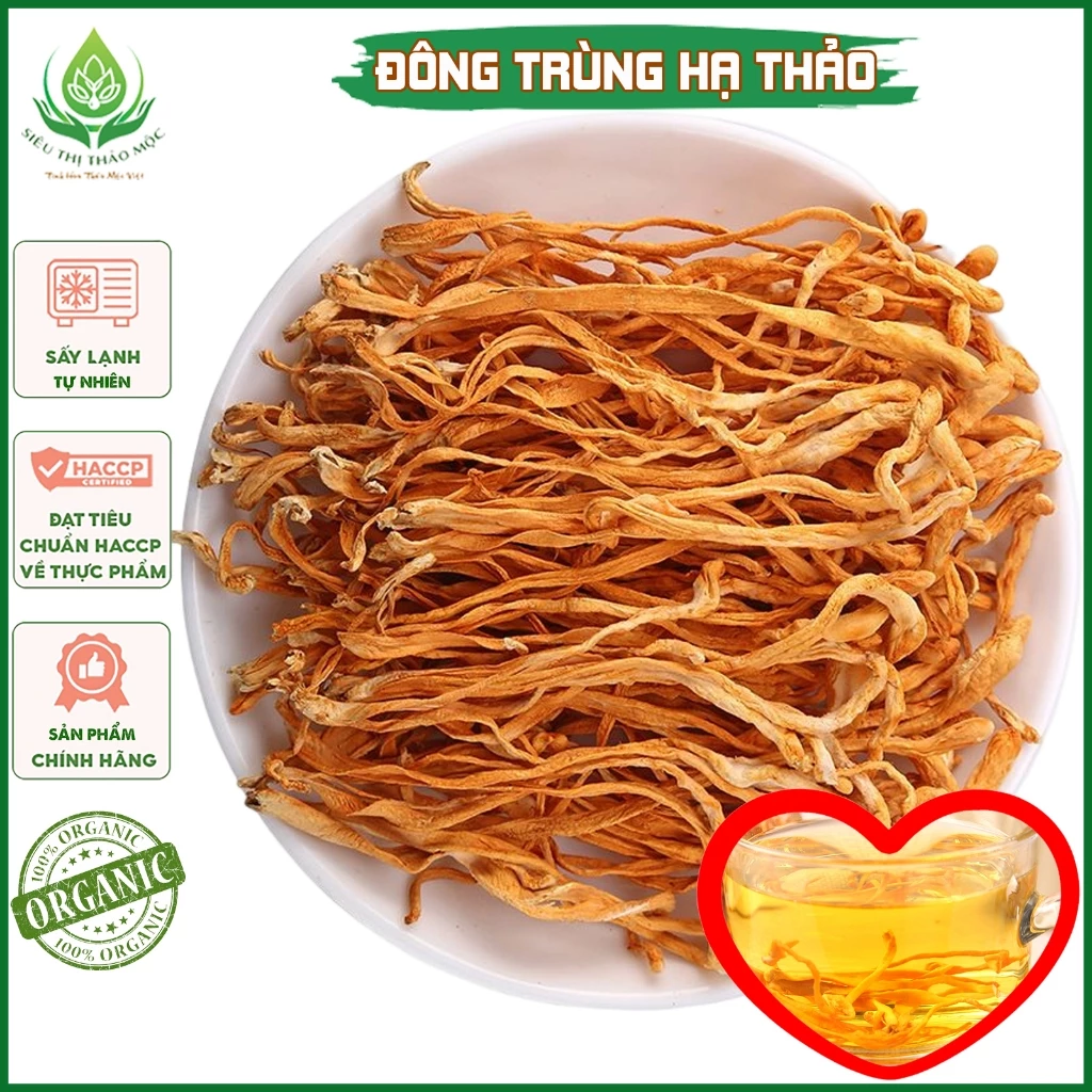✅[CHÍNH HÃNG] Đông Trùng Hạ Thảo Sấy Khô Sợi To Ngon Giúp Bồi Bổ Sức Khoẻ tại Siêu Thị Thảo Mộc