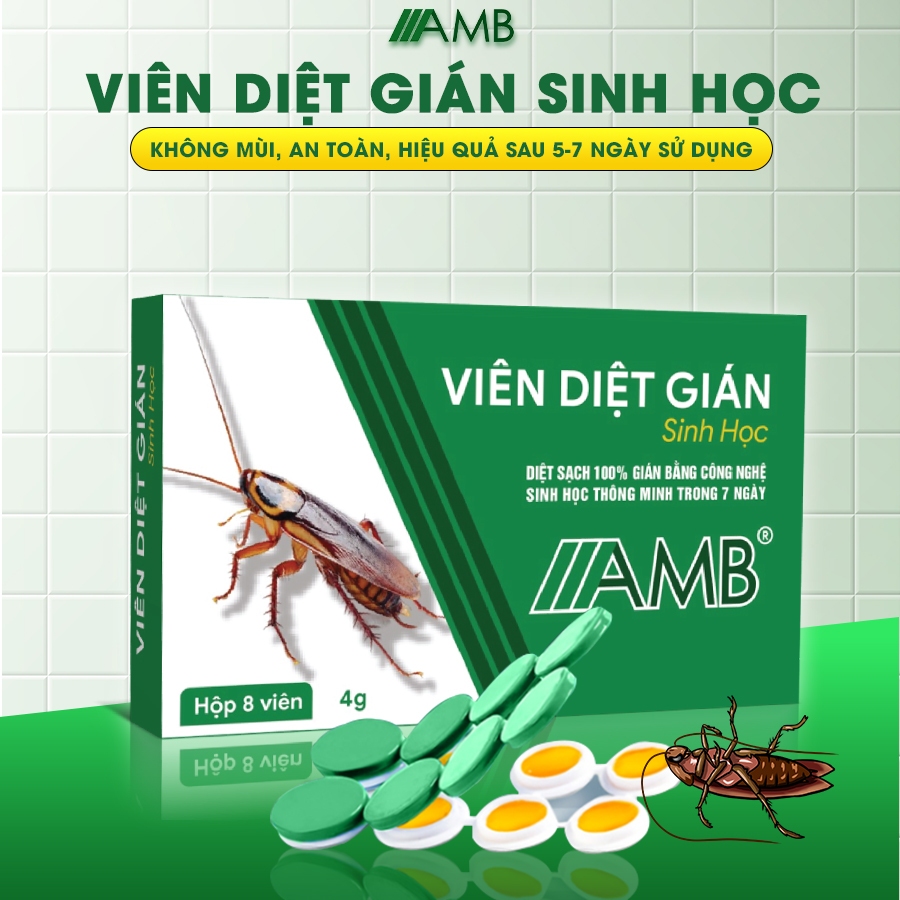 Thuốc diệt gián sinh học AMB, diệt tận gốc các loại gián, viên diệt gián hiệu…