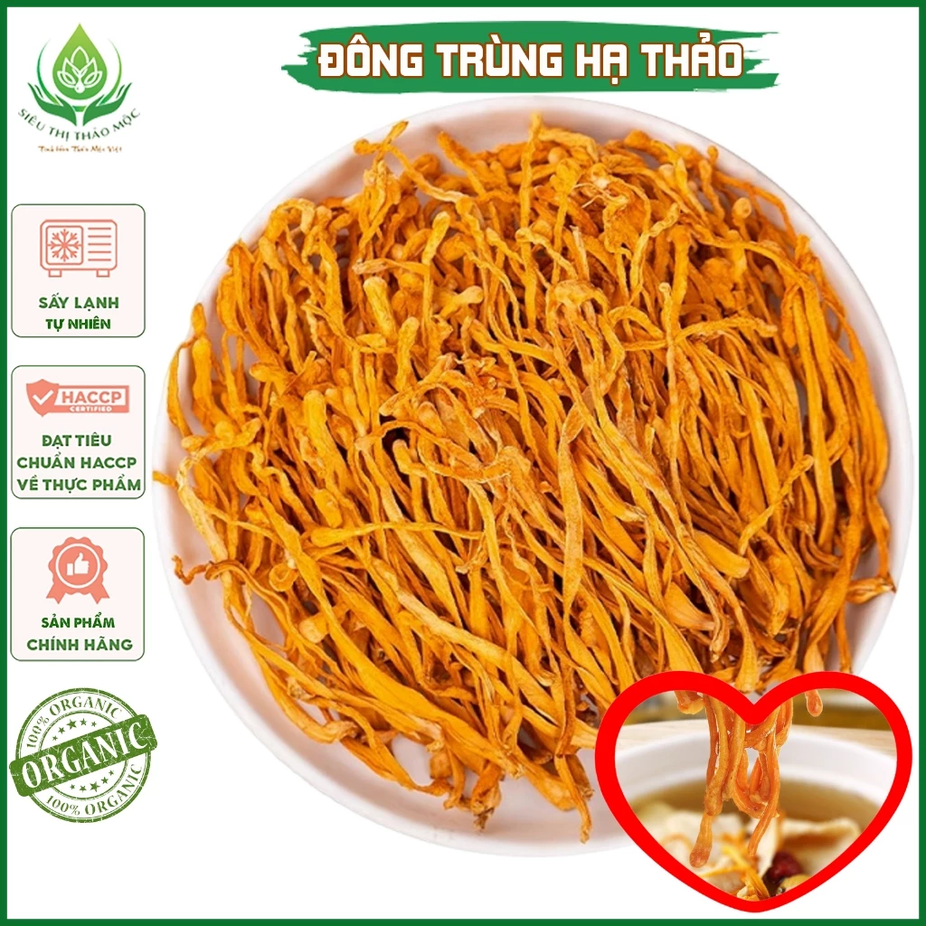 ✅[LOẠI THƯỢNG HẠNG] Đông Trùng Hạ Thảo 1Kg Sấy Khô Sợi To Ngon Hàng Cao Cấp Tăng Cường Thể Lực
