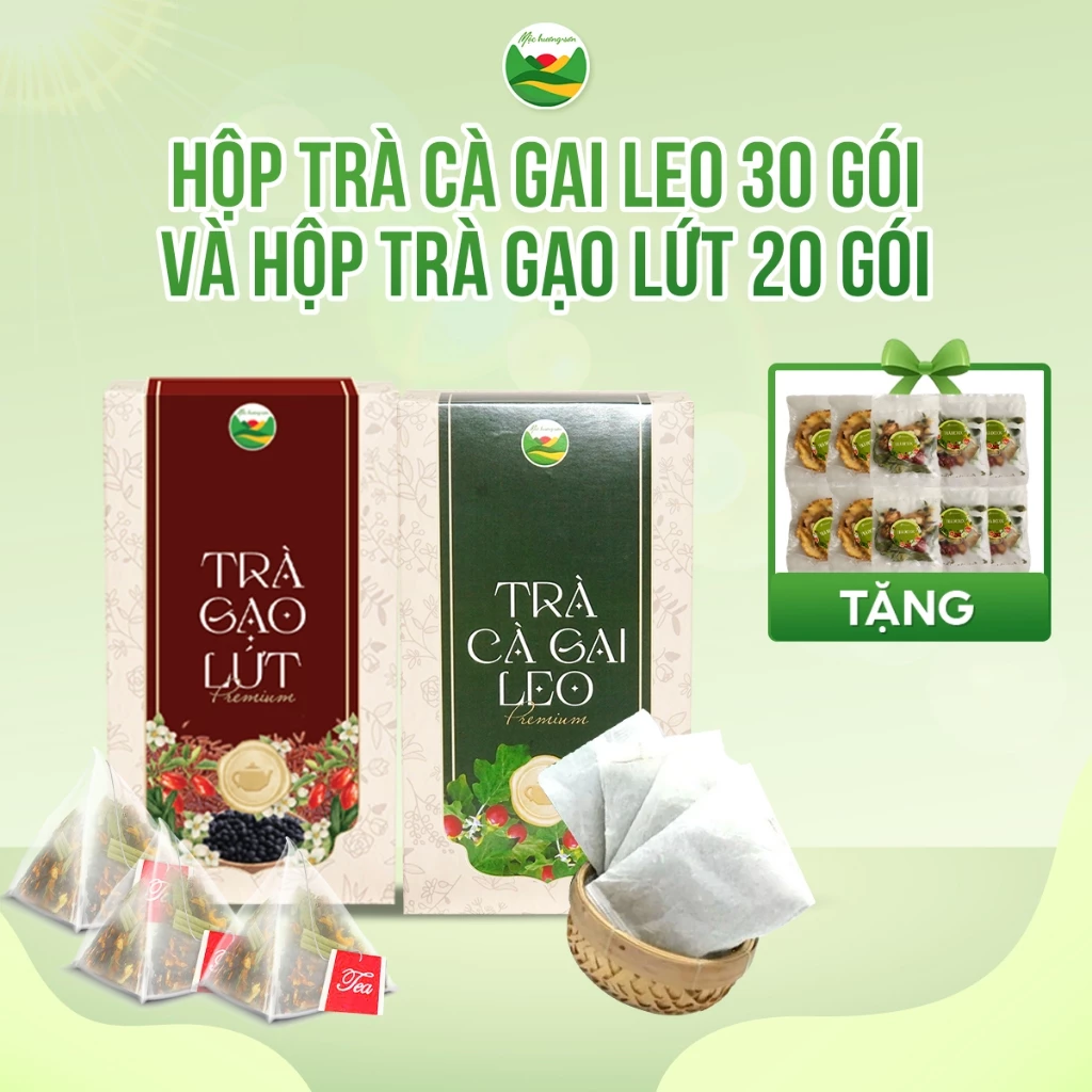Set trà cà gai leo với trà gạo lứt Mộc Hương Sơn giúp mát gan, thanh nhiệt cơ thể
