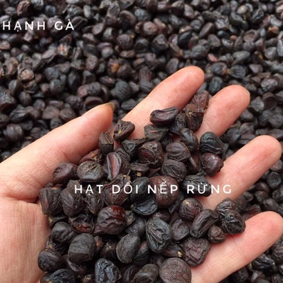 Hạt dổi nếp gia vị ướp nướng cực thơm của người Tây Bắc